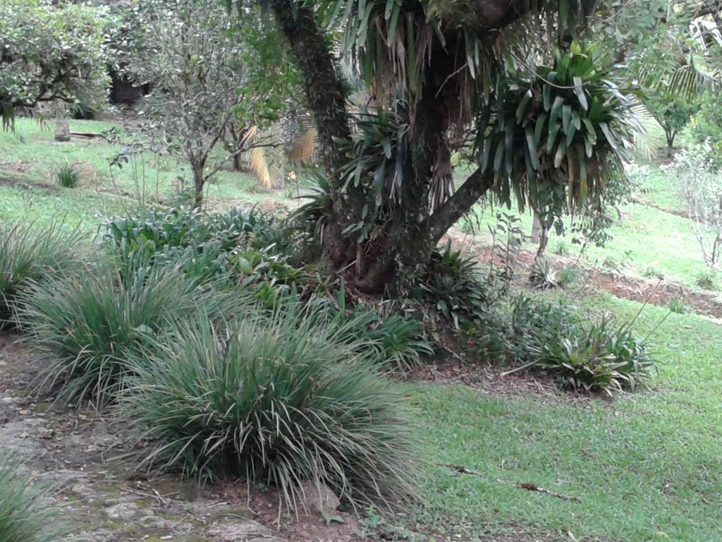 Pousada Recanto Aguas Vivas Turvo dos Góis Kültér fotó